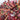 Red Oak Wreath 20"