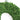 Preserved Green Celosia Wreath 21"