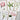 Floral Greeting Card - Laura Stoddart