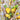 Grand Lemon Blossom Bouquet