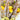 Grand Lemon Blossom Bouquet