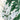 Preserved Leather Fern
