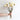 dried cream peony bunch