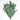 Preserved Silver Dollar Eucalyptus